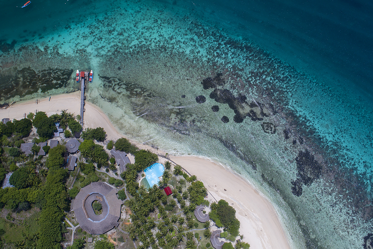 Diving Around Gangga Island with Gangga Divers