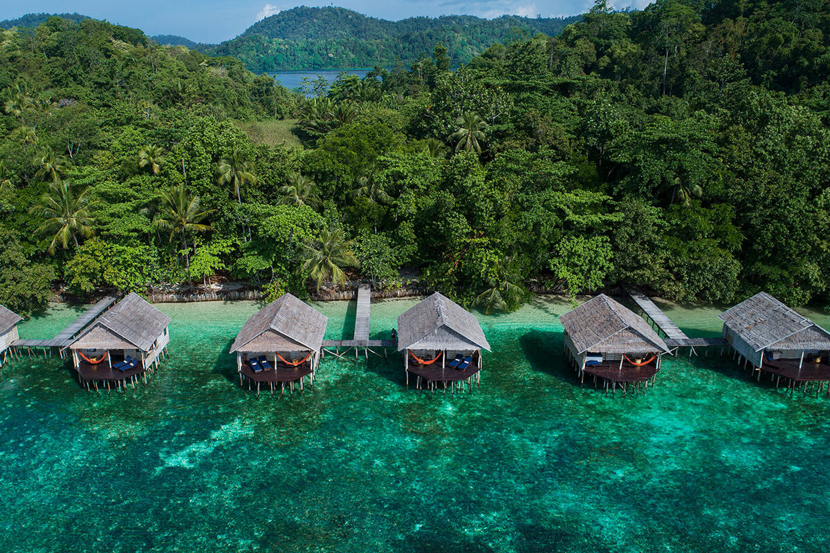 Why the Low Season Is Secretly the Best Time to Dive Raja Ampat Why the Low Season Is Secretly the Best Time to Dive Raja Ampat