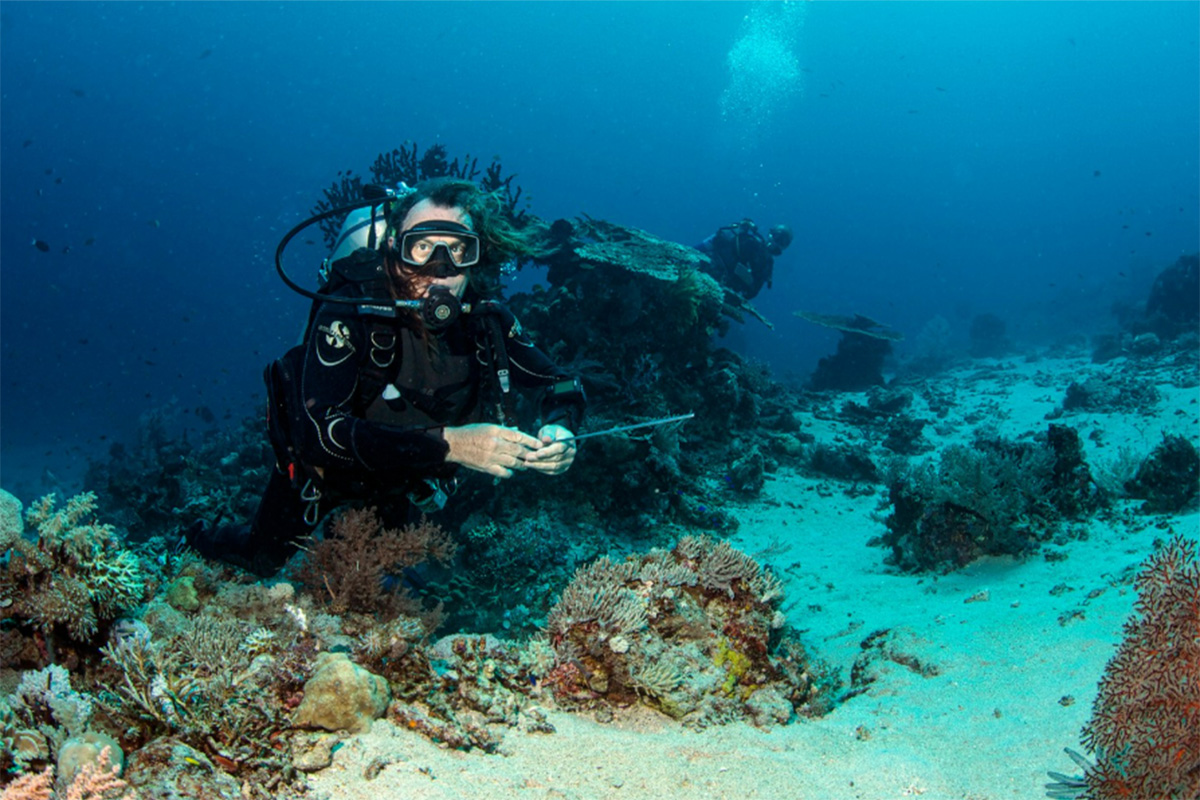 Exploring the reef inside the Wayag Lagoon System @ Raja Ampat during the filming of the National Geographic production 