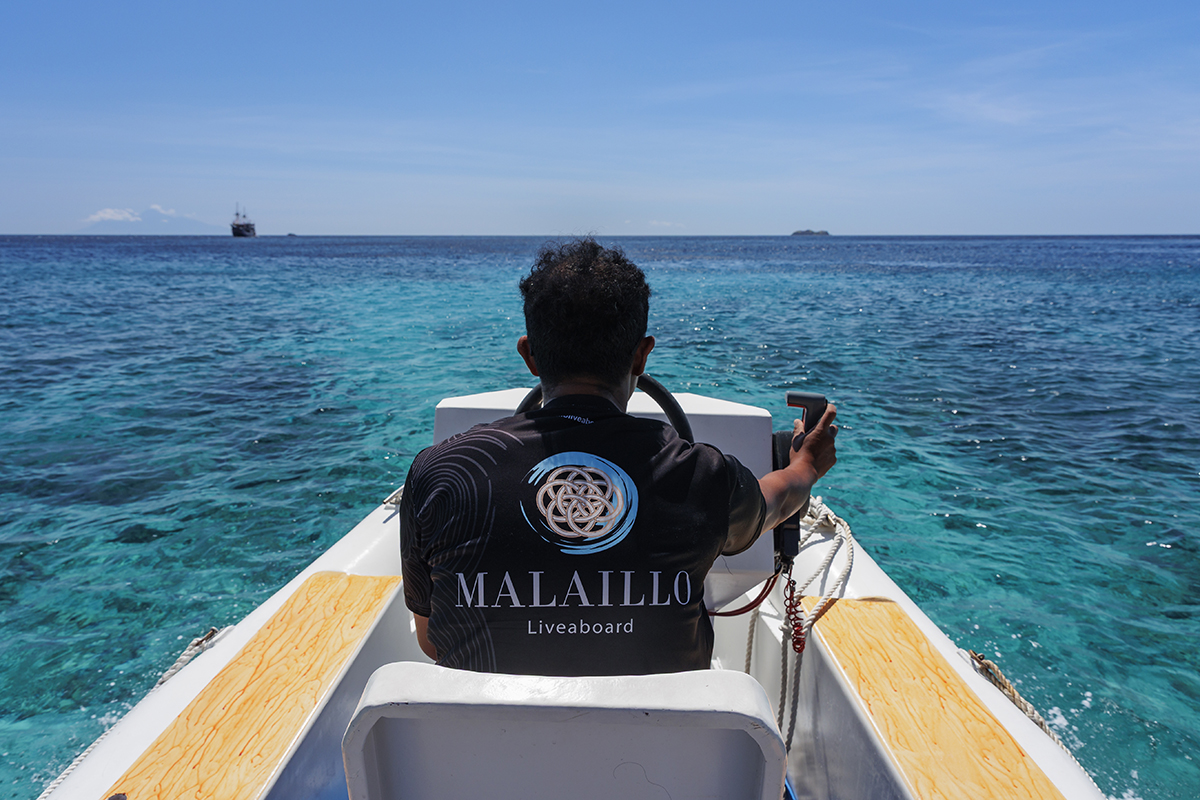 Diving and safety with Malaillo Liveabaord Indonesia