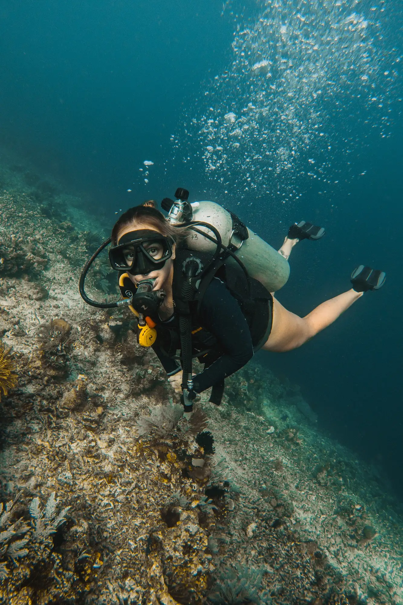 Diving at Lotus Gangga Island Resort