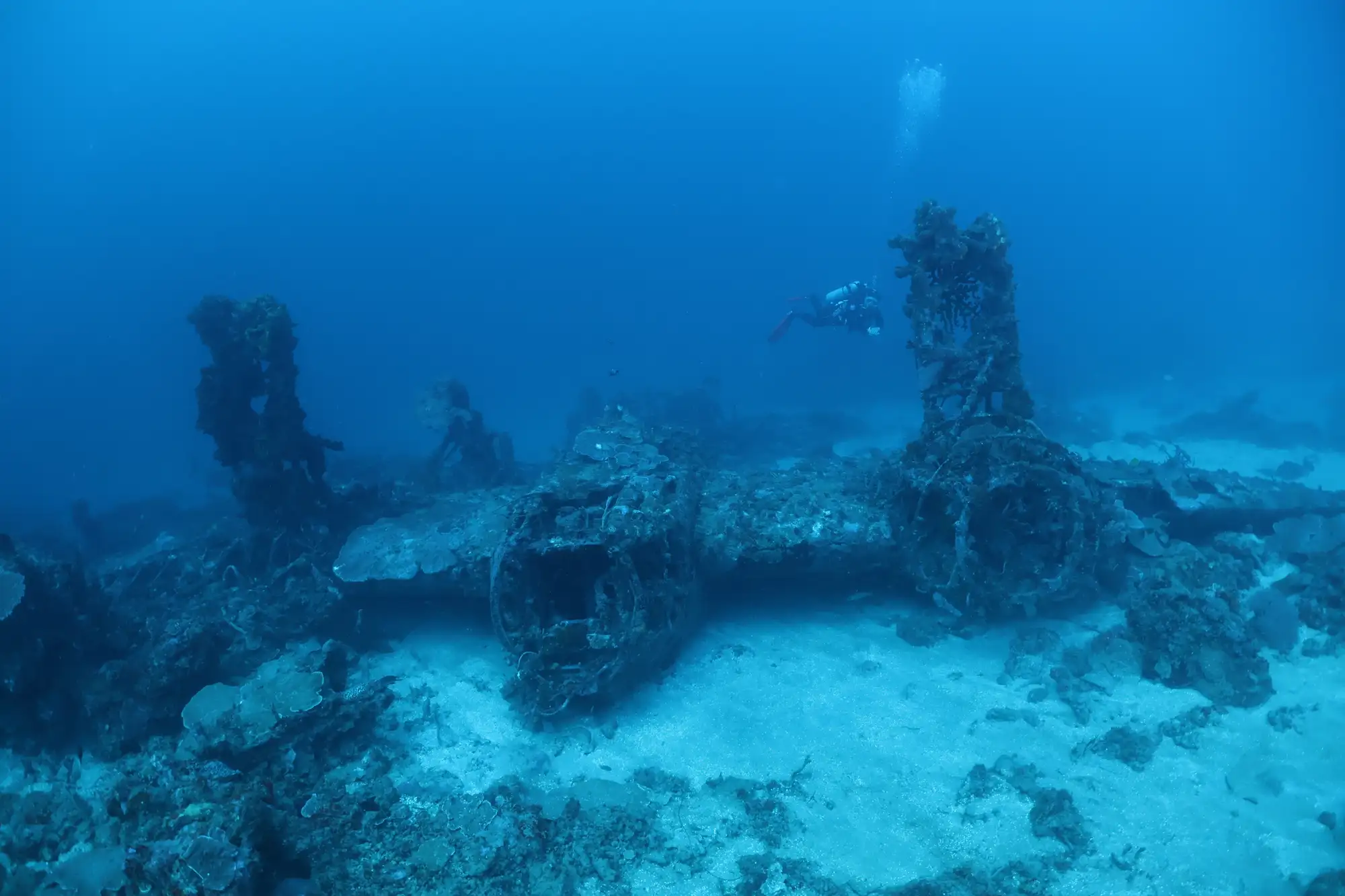 Underwater plane wreck at Lotus Metita Island