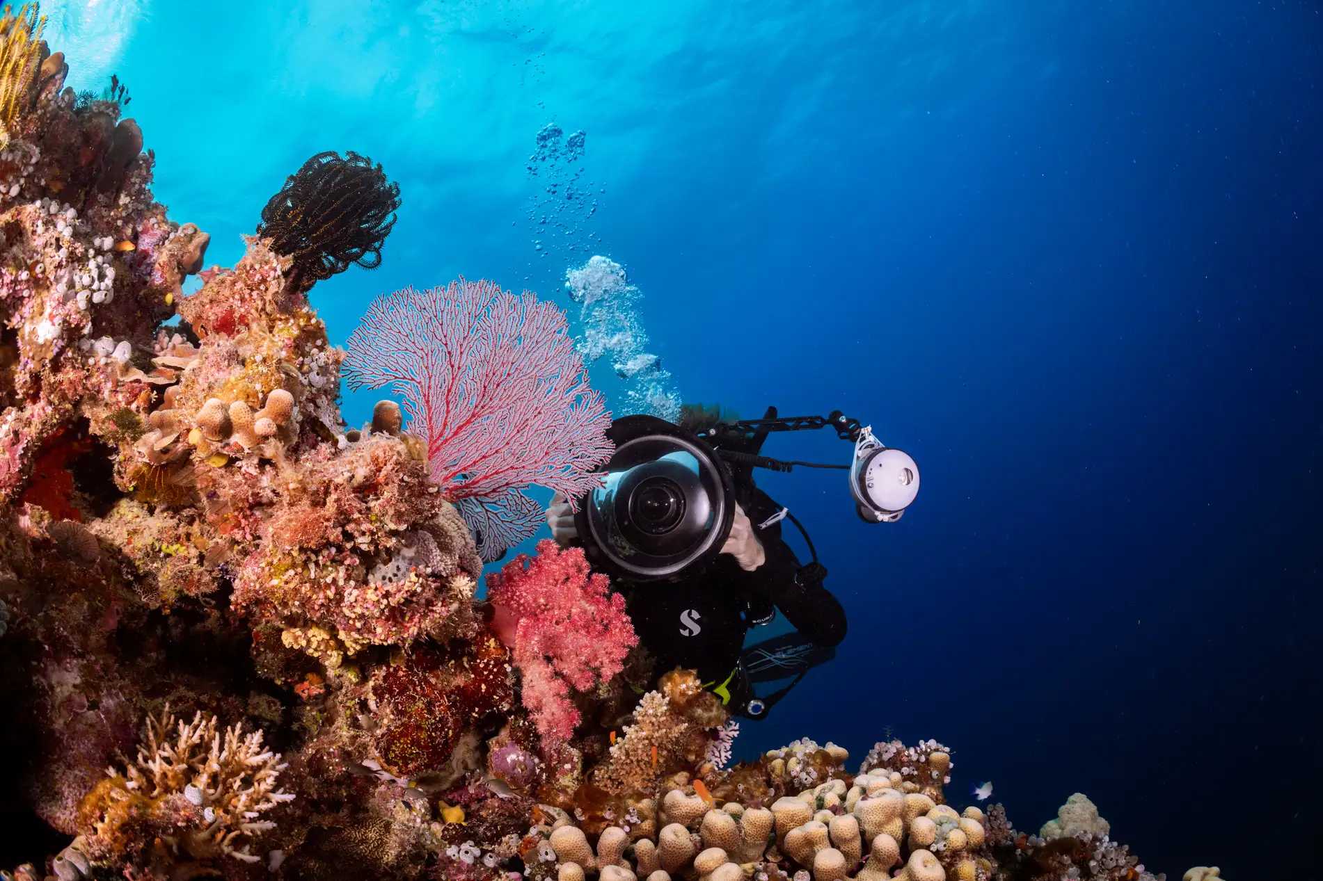 Underwater photography-Bali north coast