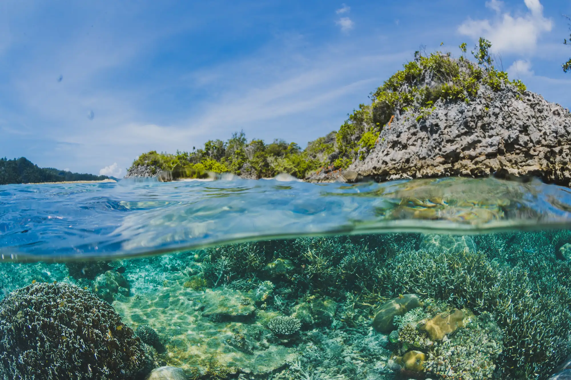 coral-reefs-surface-island