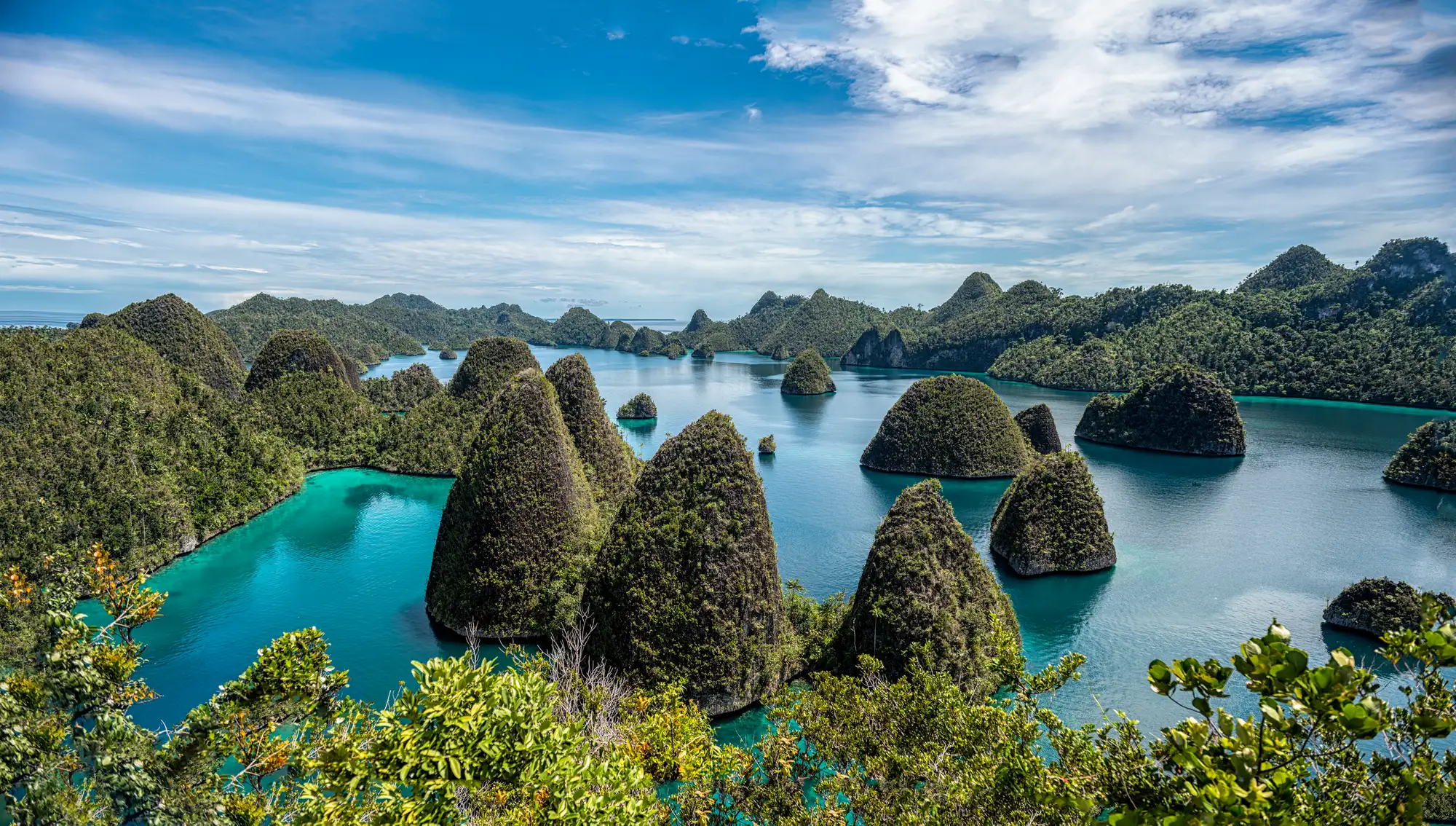 stunning karst islands of Raja Ampat in Southwest Papua, Indonesia