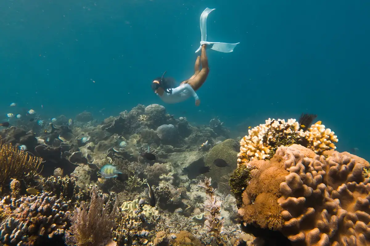 snorkel 1200×800