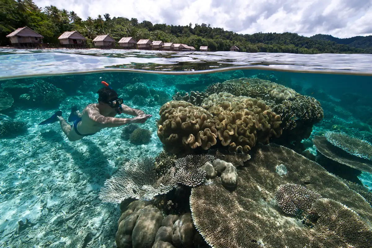 snorkelling 1200×800