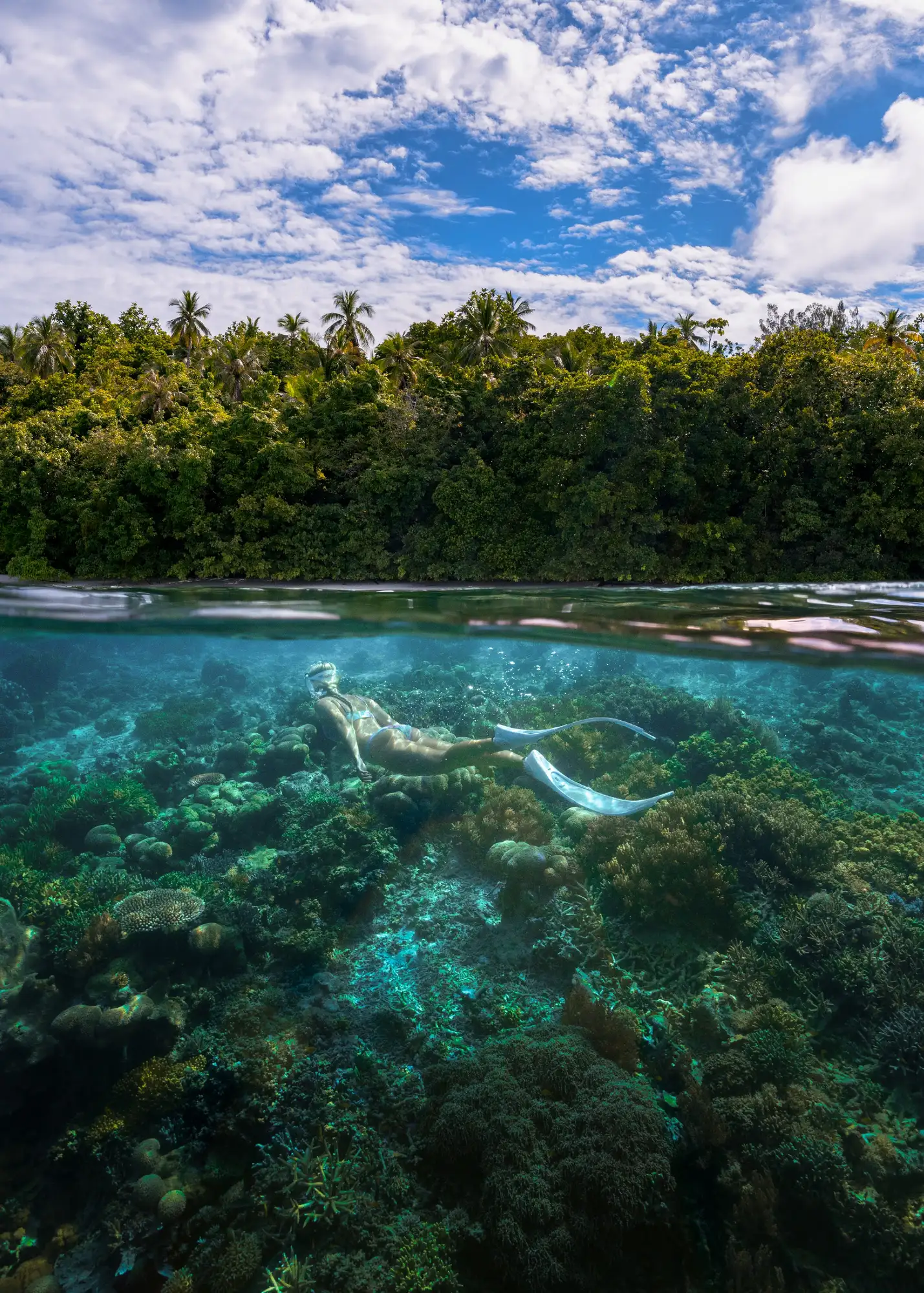 snorkelling-raja-ampat