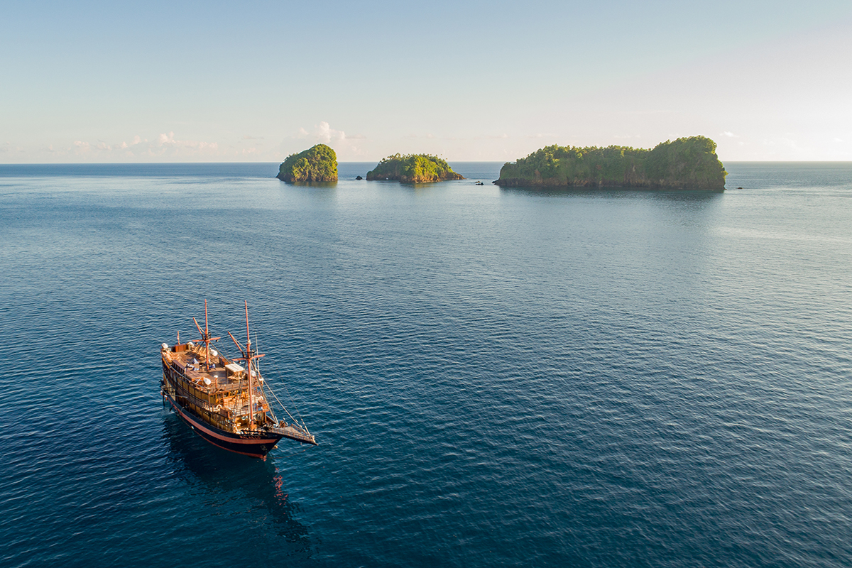 North Halmahera Diving Expedition: Expert Insights from a Liveaboard Exploration Trip