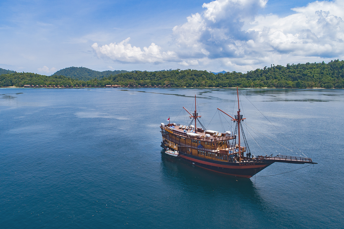 Liveaboard Diving in Indonesia: A Guide to Malaillo's Itineraries and Experience